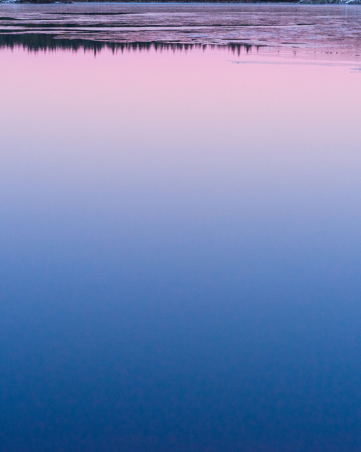 Sky and trees reflection in a lake
